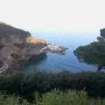 Estivi Anna E Pino