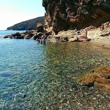Estivi Anna E Pino