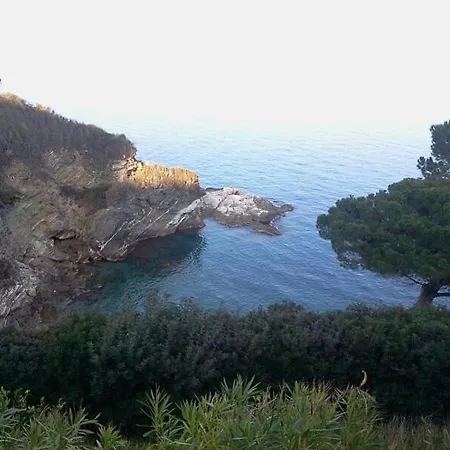 Estivi Anna E Pino